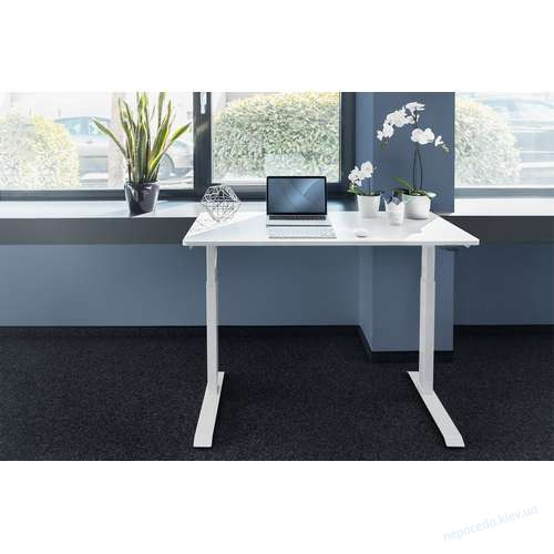 Стол DIGITUS Electric Height Adjustable 73-123cm белый, фото 4