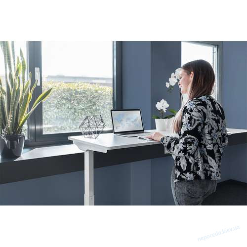 Стол DIGITUS Electric Height Adjustable 73-123cm белый, фото 5