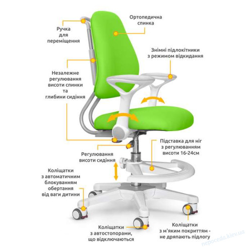 Дитяче крісло ErgoKids Mio Ergo, фото 1