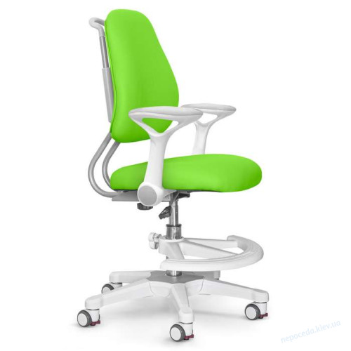 Дитяче крісло ErgoKids Mio Ergo