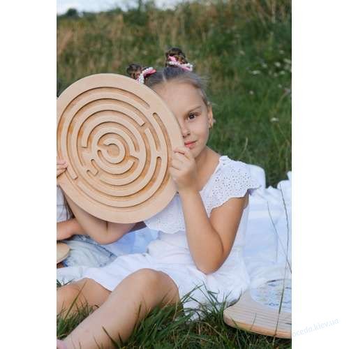 Балансир Лабиринт Круги для рук + Игра-ходилка 2в1, фото 4