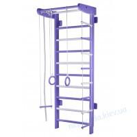 Спортивный уголок БУЗОК (стандарт)