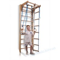 Дитячий спортивний куточок «Комбі-2-220»